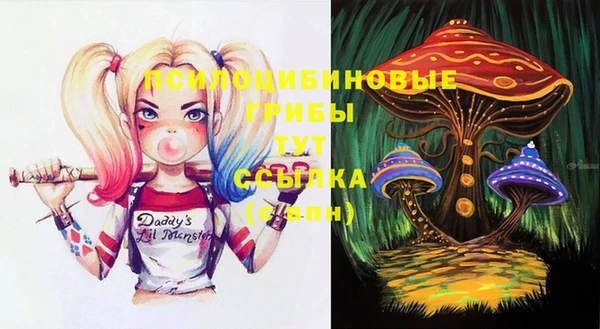 прущие крисы Алексеевка