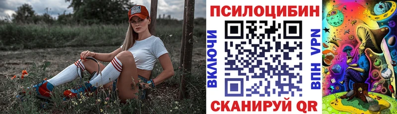 Галлюциногенные грибы мицелий  МЕГА маркетплейс  Коряжма 
