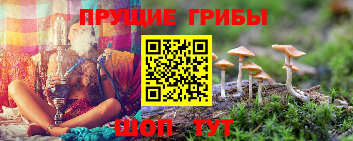 Коряжма  Галлюциногенные грибы MAGIC MUSHROOMS  Вход с VPN 