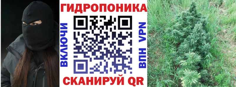 что такое   Коряжма  Каннабис марихуана 